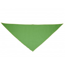 Foulard féria vert